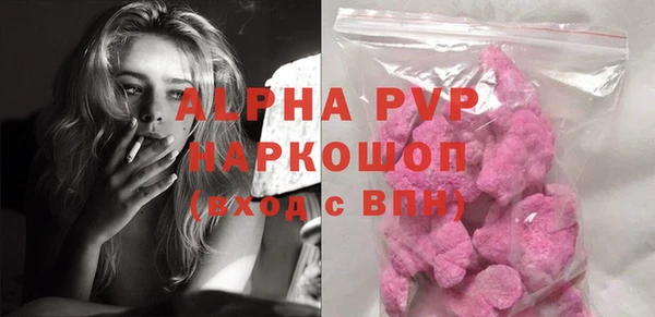 соль ск Новозыбков